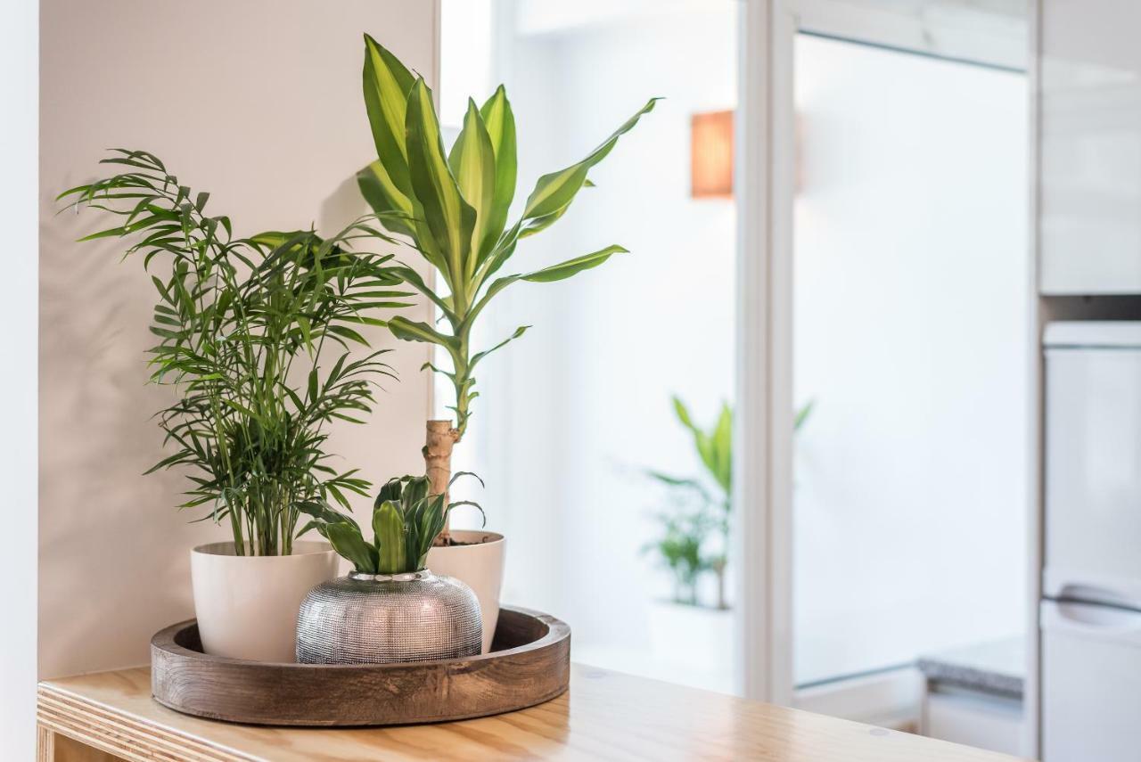 Guestready - Terraco Da Ines Leilighet Porto Eksteriør bilde